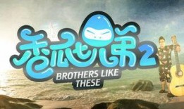 吃瓜第二季免费播放下载,免费播放下载，揭秘娱乐圈幕后风云