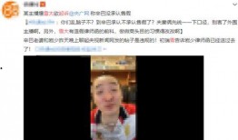 华人爆料燕窝姐姐视频,华人爆料视频背后的真相与争议