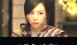 在线观看华丽的出轨,华丽出轨事件，真相与争议交织