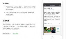 今日新爆料小程序下载,下载体验与功能解析”