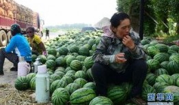 砀山县吃瓜最新事件爆料,揭秘背后惊人真相