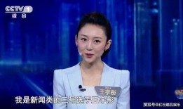 王宇媳妇爆料新闻视频在线观看,揭秘事件真相