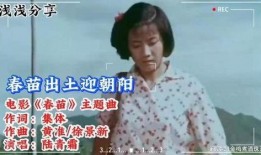 春苗 电影在线观看,生命绽放的奇迹——在线观看感动人心的温情巨作