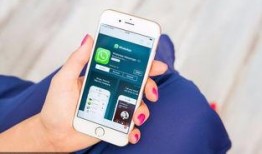 阿婴手机在线观看,揭秘热门剧集的魅力所在