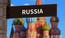 俄罗斯本土媒体爆料视频,揭秘事件背后真相