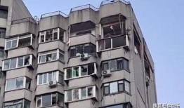 丹东居民楼爆料视频,揭秘楼内惊人一幕