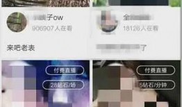 色情在线观看网站,暗流涌动的网络世界