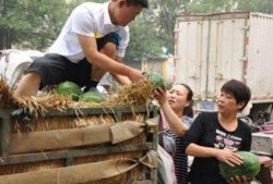 砀山县吃瓜最新事件爆料,揭秘背后惊人真相