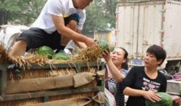 砀山县吃瓜最新事件爆料,揭秘背后惊人真相