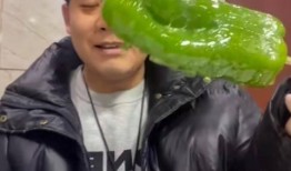 网红刘二萌吃瓜事件,揭秘网红圈内的真实风波