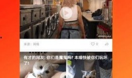 久久视频在线视频观看在线播放