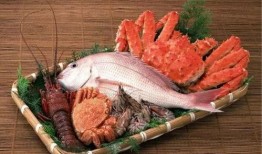 海鲜工厂爆料怎么做视频,揭秘视频制作背后的秘密