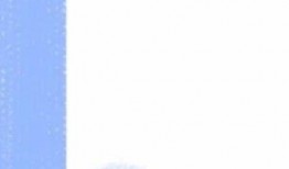 玉环日料老板爆料视频,日料行业背后的惊人真相