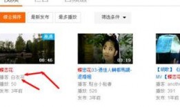 网络爆料视频怎么找出来,探寻信息生成与传播真相