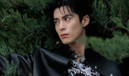 娱乐圈八卦爆料王鹤棣,娱乐圈新晋“爆料王”，揭秘明星幕后故事