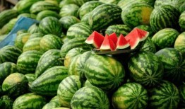 网红八酱吃瓜,揭秘网红圈背后的秘密与真相