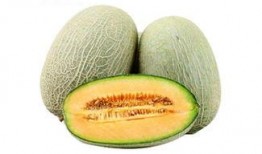 国内免费的吃瓜网站推荐,畅享娱乐资讯的绝佳平台