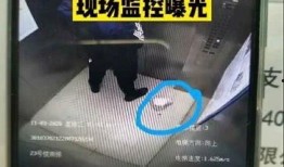 青岛外卖员爆料视频最新,揭秘外卖行业背后真相