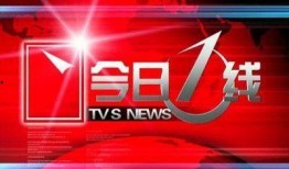 今日一线爆料收费吗,揭秘收费内幕，揭秘真相背后的收费之谜