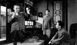 地下党爆料女特务视频,女特务视频曝光背后的秘密风云