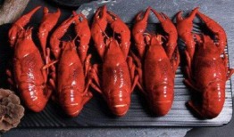 飞哥爆料虾仁视频大全下载,虾仁视频大全独家下载攻略