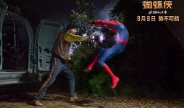 蜘蛛侠回归在线观看,在线观看，重温英雄传奇