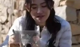 厨子黄磊爆料事件视频,揭秘娱乐圈幕后真相