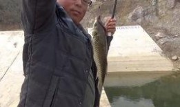 裸钓在线观看,揭秘自然垂钓的极致体验