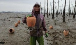 怒江百万网红吃瓜事件视频,揭秘网络事件背后真相