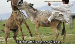 二驴爆料社会事件视频,社会事件背后真相曝光