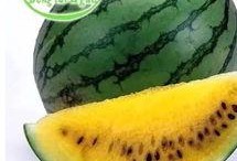 微信免费吃瓜最新