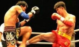 散打网络新闻爆料