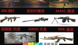 最新武器爆料大全