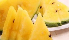 网红瓜在哪儿吃最好,探寻最佳品尝地