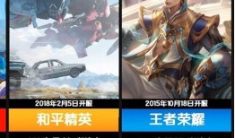 原神爆料王者荣耀视频,揭秘神秘爆料视频背后的精彩内容