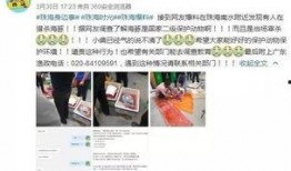 珠海金湾区爆料事件视频,视频揭露惊人真相