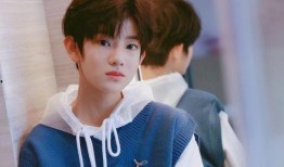 王大锤爆料爱豆视频大全,爱豆视频大全大揭秘