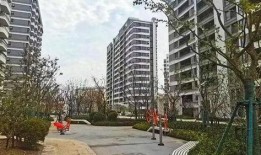 温岭一小区爆料案件最新,真相渐浮水面，警方全力调查