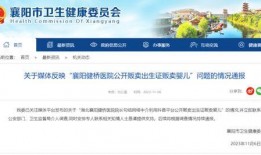 山东爆料最新消息今天新闻,今日热点事件追踪