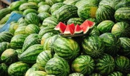 国内免费的吃瓜网站推荐,畅享娱乐资讯的绝佳平台