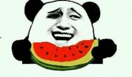 刘二豆娱乐吃瓜君