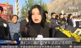 陇南都市爆料事件视频,视频揭露惊人真相，引发社会关注