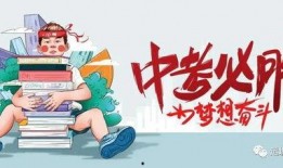 苏菲爆料名单最新消息,揭秘娱乐圈惊人内幕