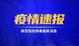 蓝厂最新系统爆料新闻,颠覆性升级，引领科技新潮流