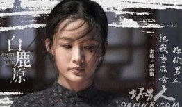 白鹿原李沁在线观看,探寻命运交织的传奇人生