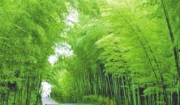 竹林小区新闻爆料视频播放,视频揭秘小区最新动态