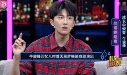 牛骏峰娱乐八卦爆料,揭秘明星背后的故事与幕后真相