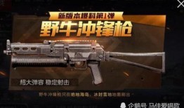 四把升级枪爆料视频大全