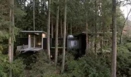 爸爸的小木屋在线观看,温馨回忆与成长之旅