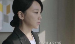 靳东爆料颜妮视频大全,揭秘娱乐圈不为人知的一面